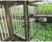 Liyiの植物成長の部屋の人工的な気候の種の発生機械植物成長箱定温器および色は青い