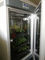植物成長の部屋の人工的な気候の種の発生機械植物成長箱の定温器
